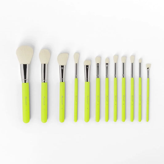 BH Cosmetics Color Festival 12 Piece Brush Set with Angled Brush Holder