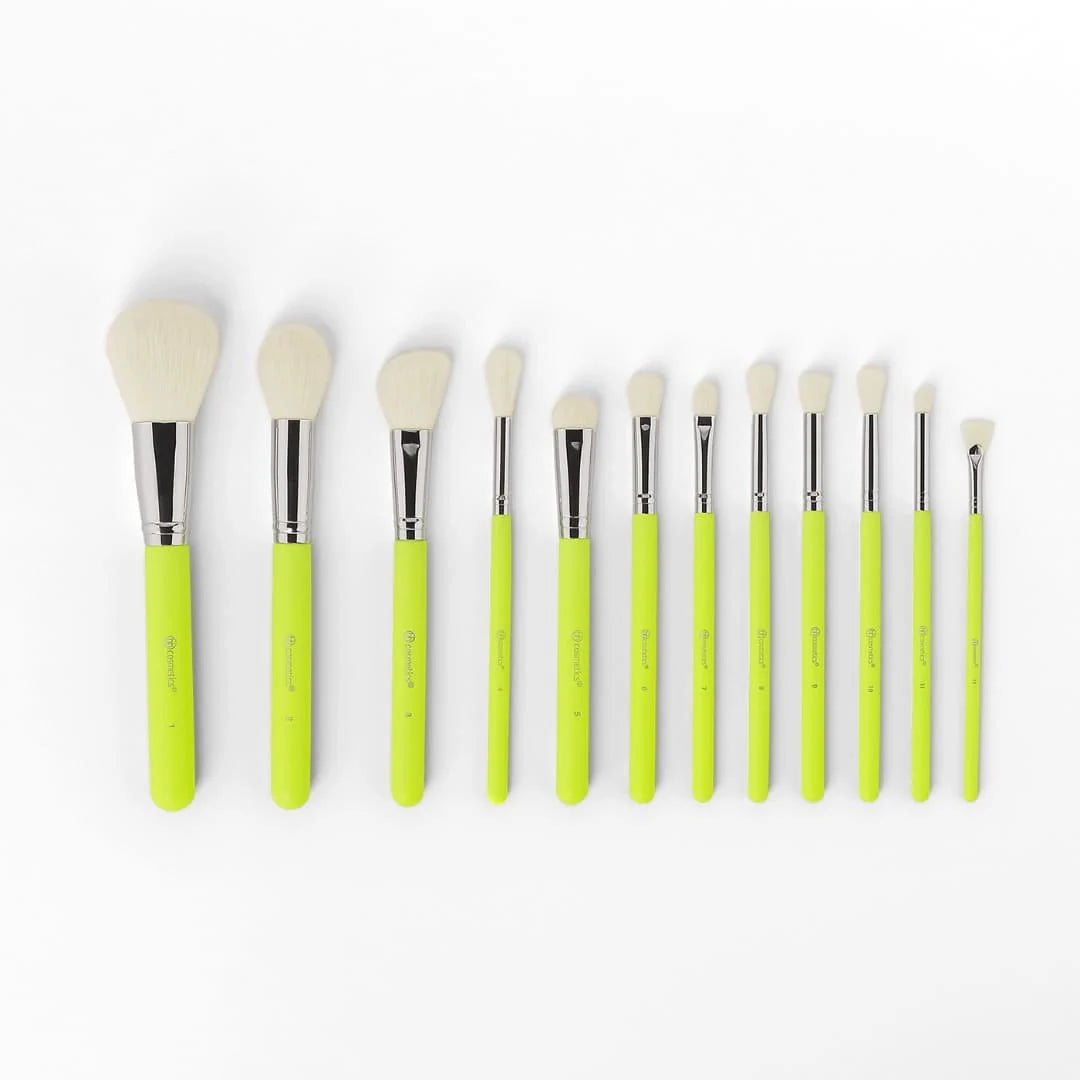 BH Cosmetics Color Festival 12 Piece Brush Set with Angled Brush Holder
